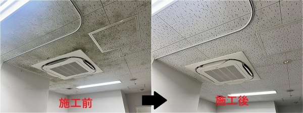 カビの根絶作業です